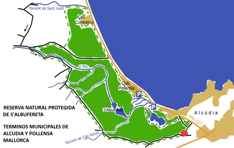 protected area in Pollensa Bay and kite lessons in Mallorca legalized kiteschool
