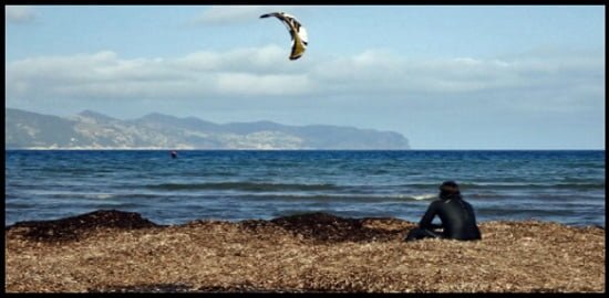 7 alguien debería vigilarte cuando haces kitesurfing