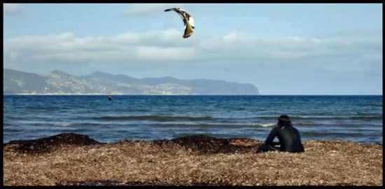 7 alguien debería vigilarte cuando haces kitesurfing