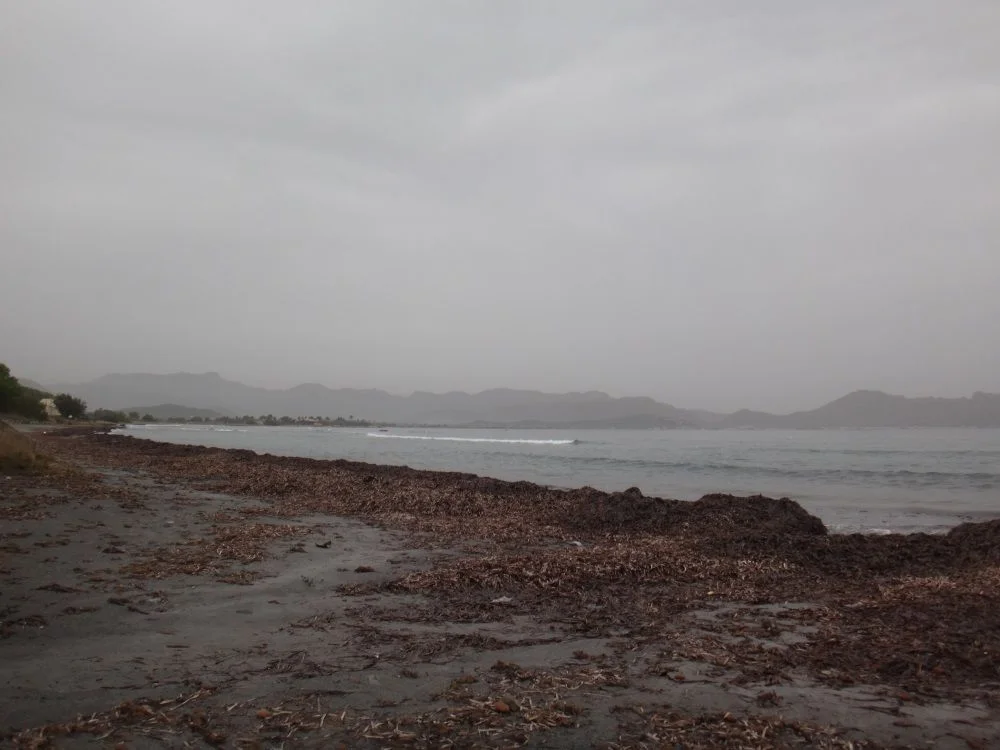 1 Kitesurf, was wir am meisten mögen