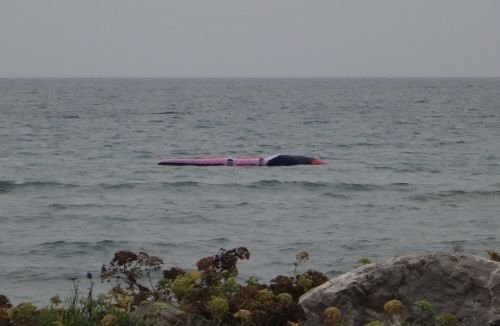 3 wenn es fällt und eine Zeit lang im Wasser bleibt