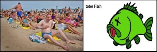 6 tote fish sonnenschutz creme