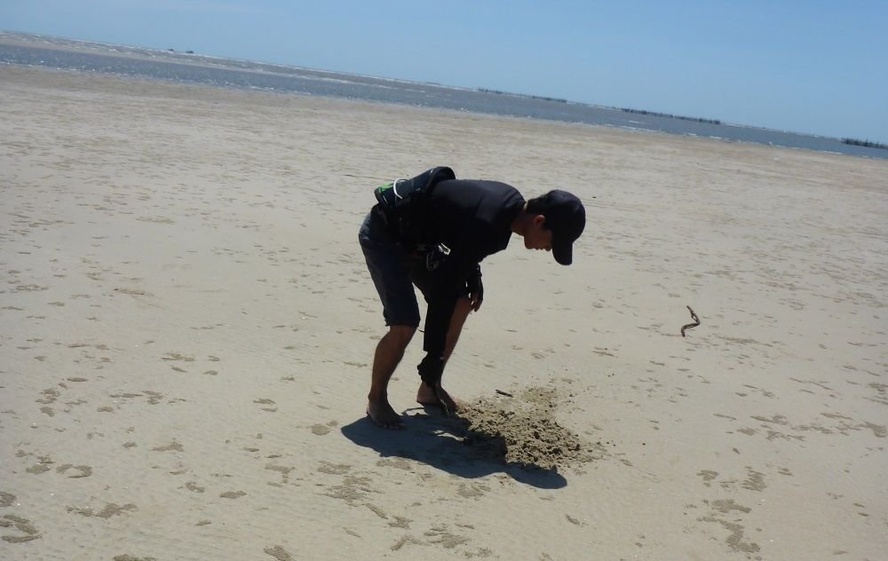 1 grabe ein Loch und hol etwas Sand