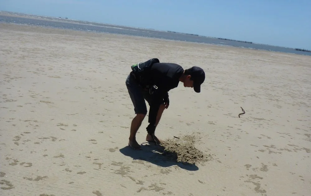 1 grabe ein Loch und hol etwas Sand