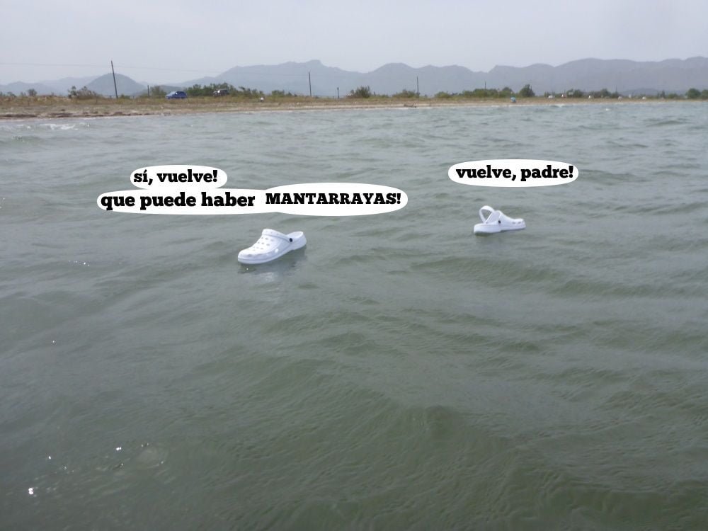 14 pero donde está el jefe - jefe, vuelve