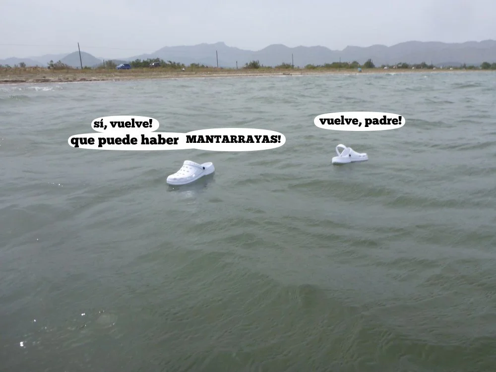 14 pero donde está el jefe - jefe, vuelve